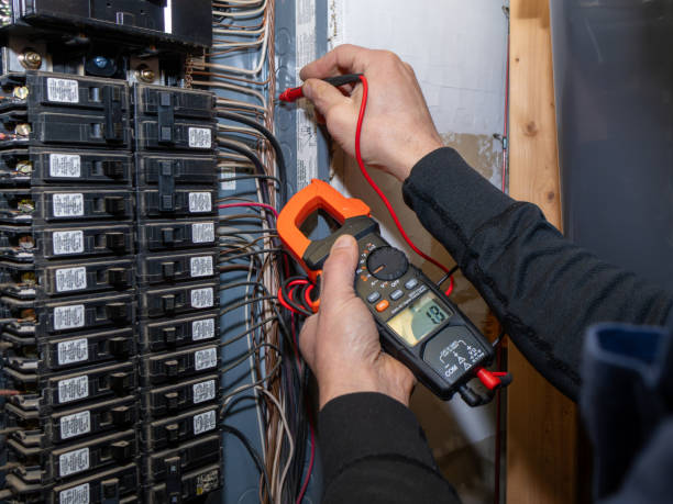 Best Electrician for Home Renovation  in De Witt, NY